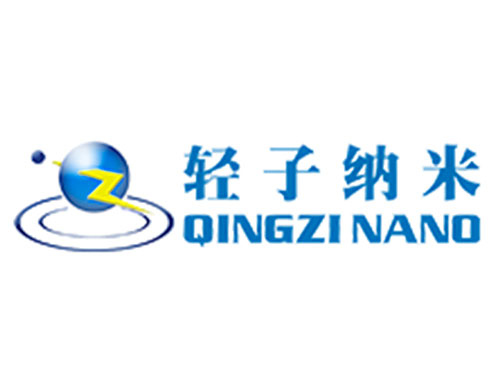 轻子纳米